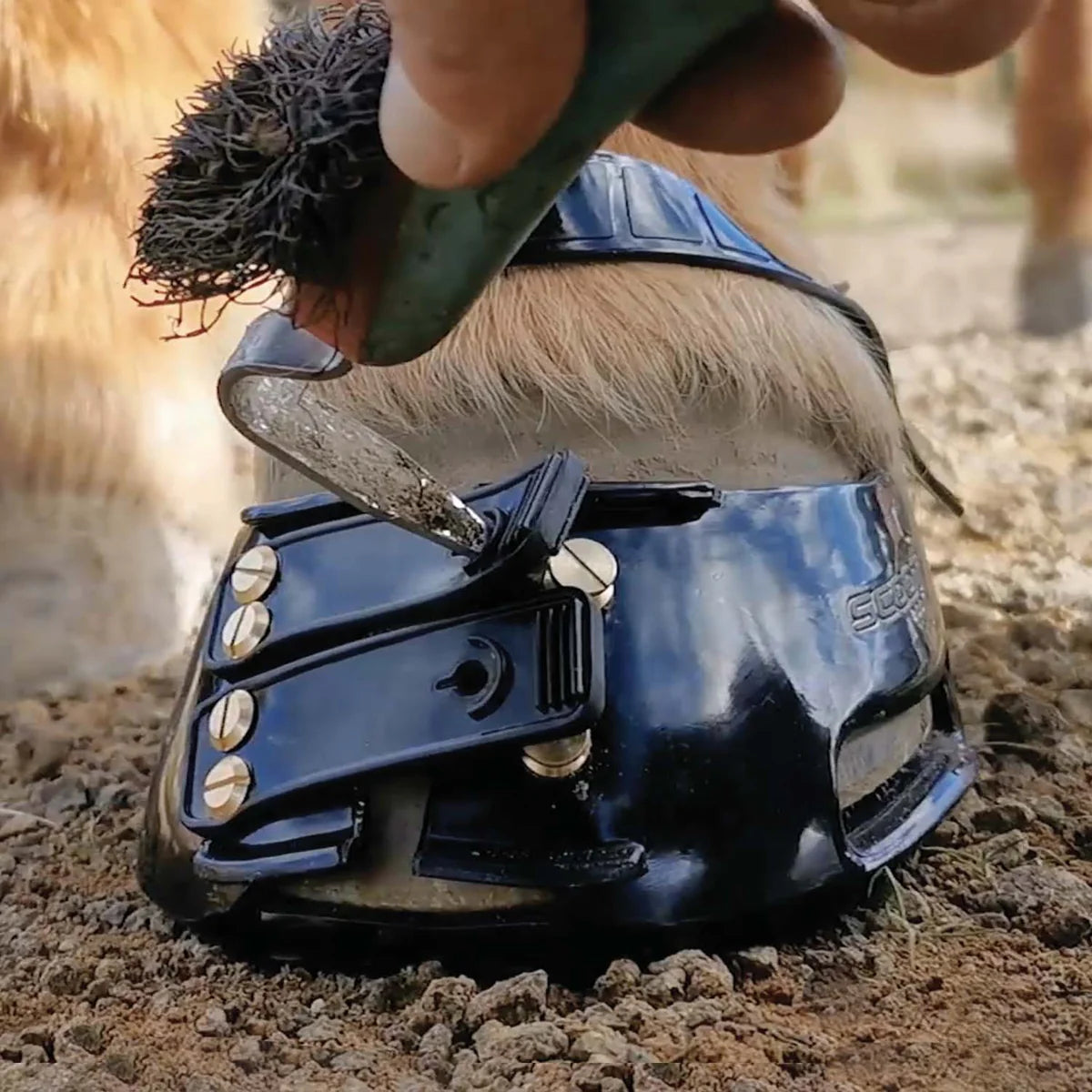 Scoot Boot Classic