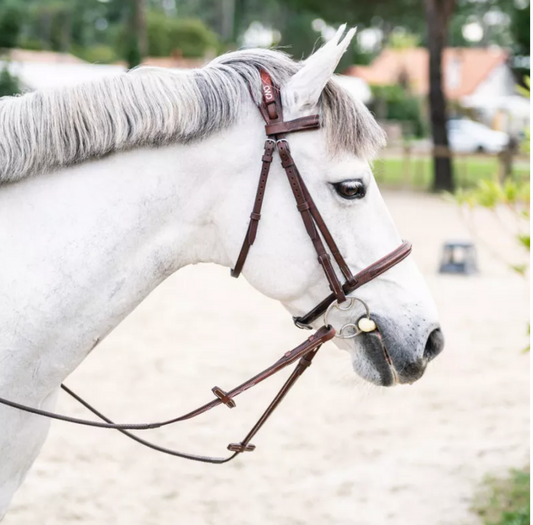 CWD Anatomic French Noseband Bridle With Fancy Stitching