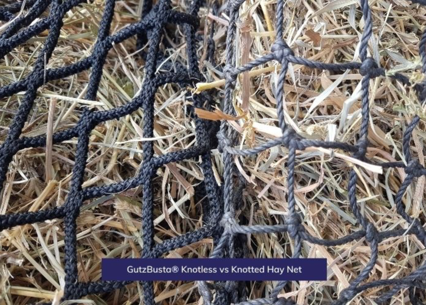 Gutzbusta Knotless Slow feed hay net - Medium (4-6 Biscuits)
