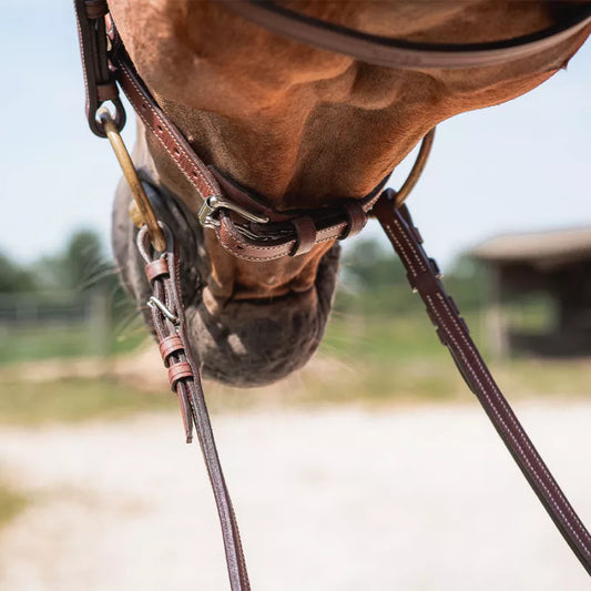 CWD Contact loop web reins