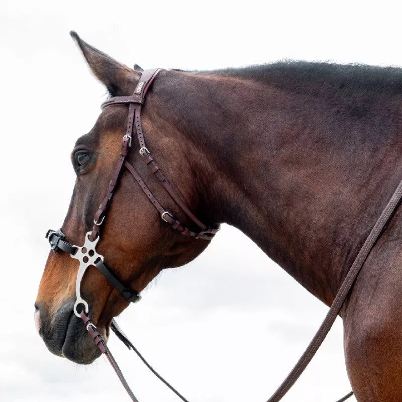 CWD Hackamore bridle