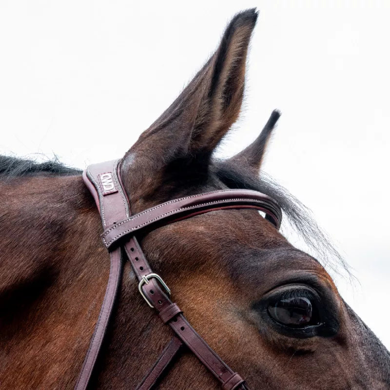 CWD Hackamore bridle