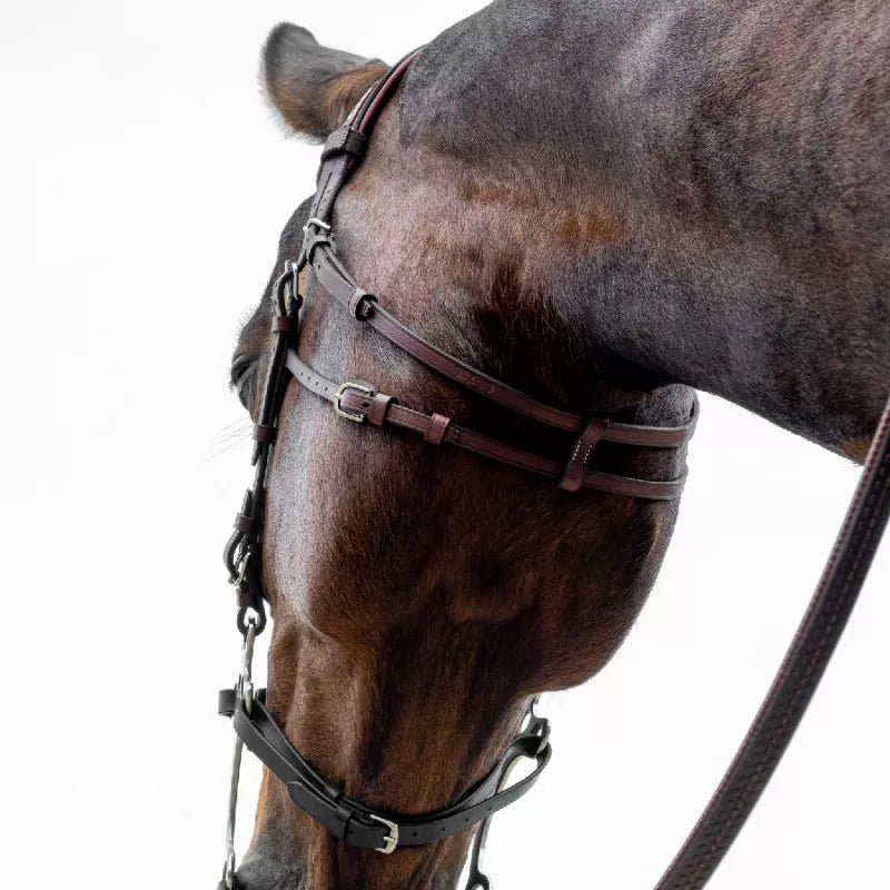CWD Hackamore bridle