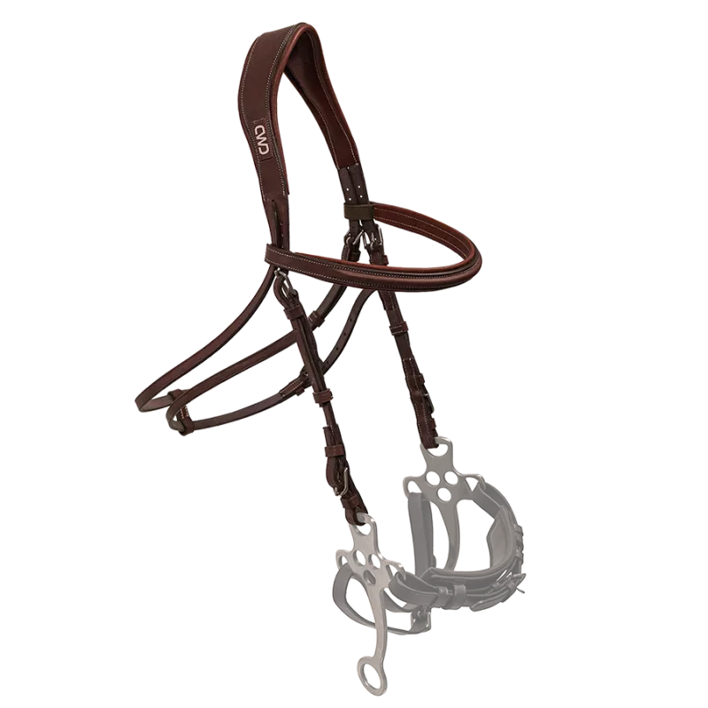 CWD Hackamore bridle