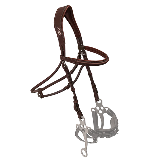 CWD Hackamore bridle