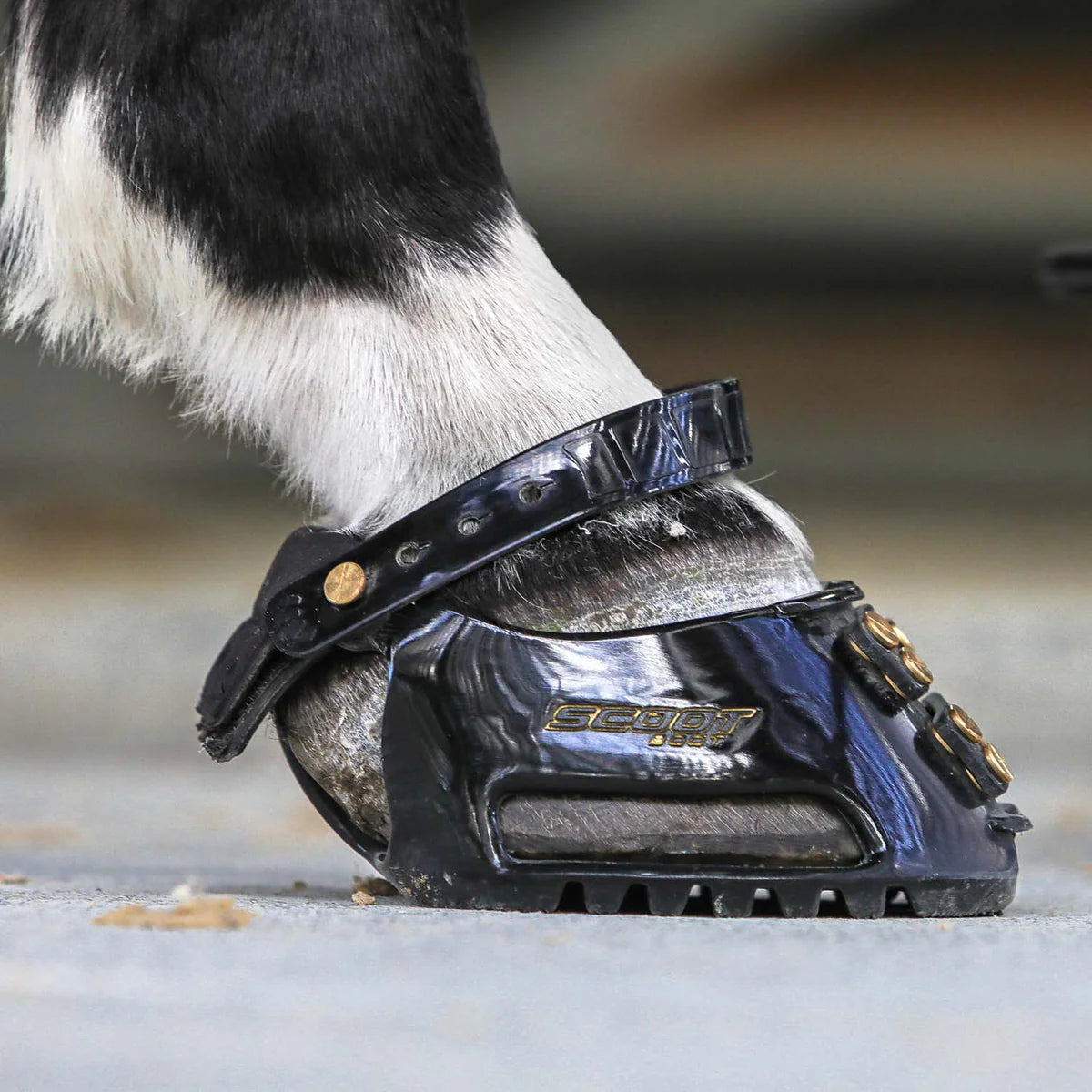 Scoot Boot Classic