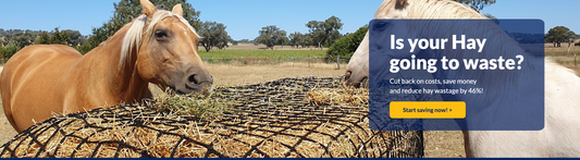Gutzbusta Knotless Slow feed 5x4 Round Bale nets