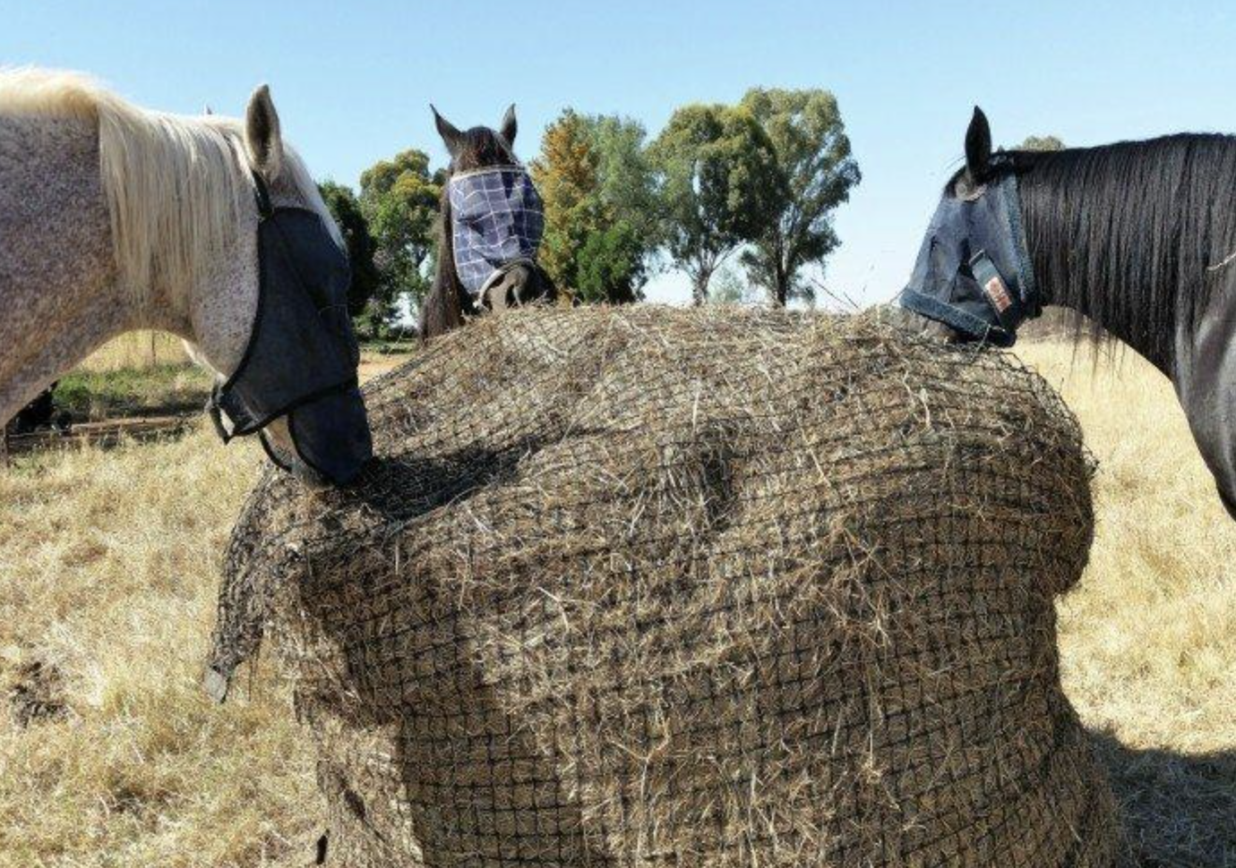 Gutzbusta knotted Slow feed 5x4 Round Bale nets