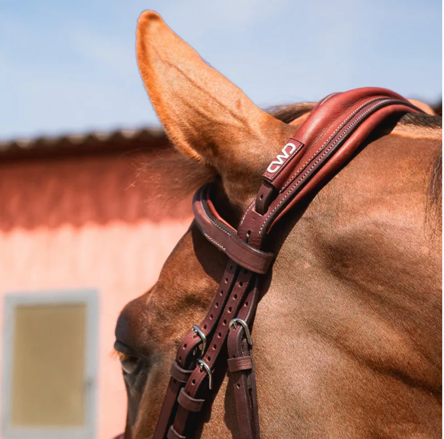 CWD Anatomic French Noseband Bridle With Fancy Stitching