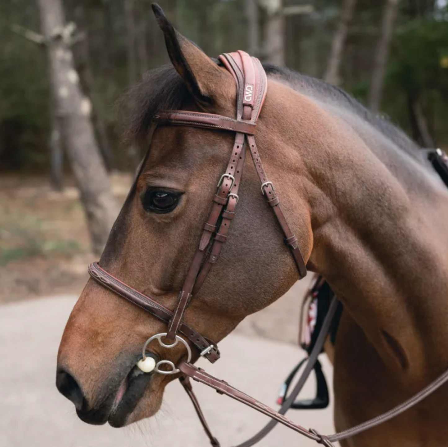 CWD Anatomic French Noseband Bridle With Fancy Stitching