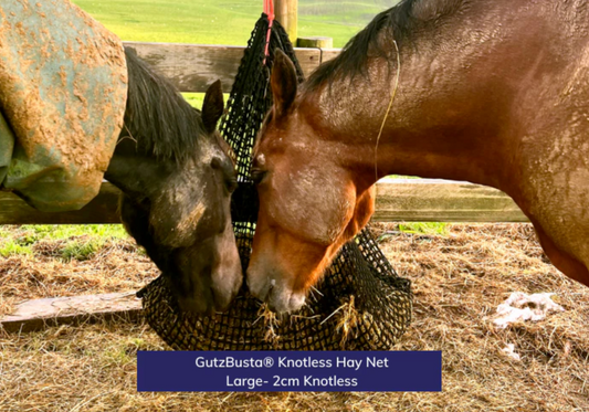 Gutzbusta Knotless Slow feed hay net - Large (whole small square bale)