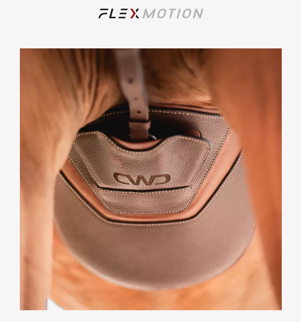 CWD Flexmotion Belly Guard girth