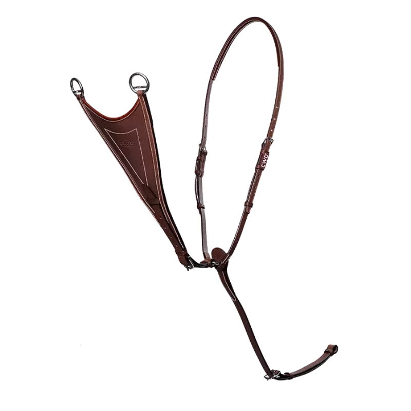 CWD Raised bib martingale with the attachment