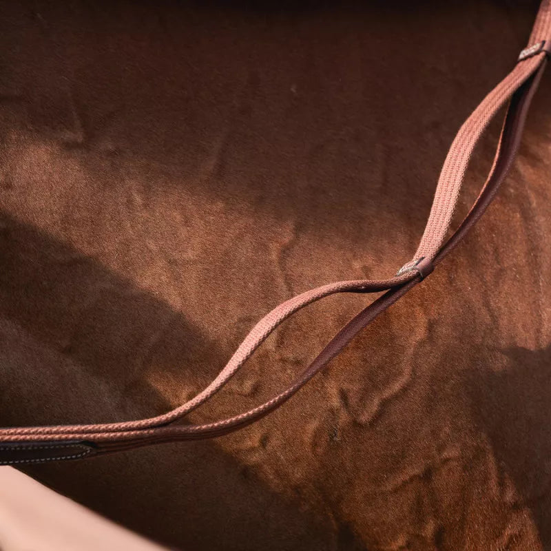 CWD Contact loop web reins