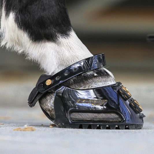 Scoot Boot Classic